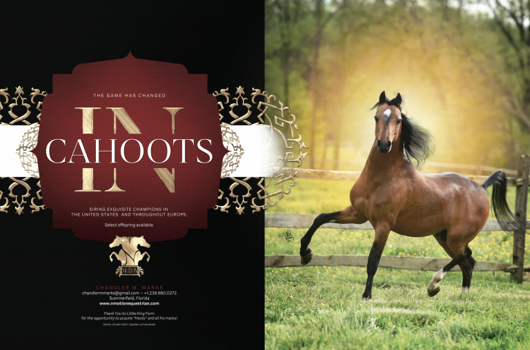 World & National Show Magazine Ads thumbnail picture