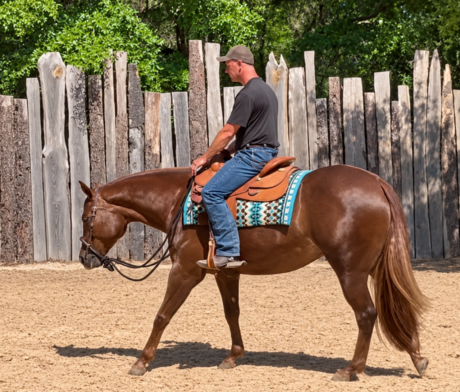 Sheza Breeze Machine thumbnail picture
